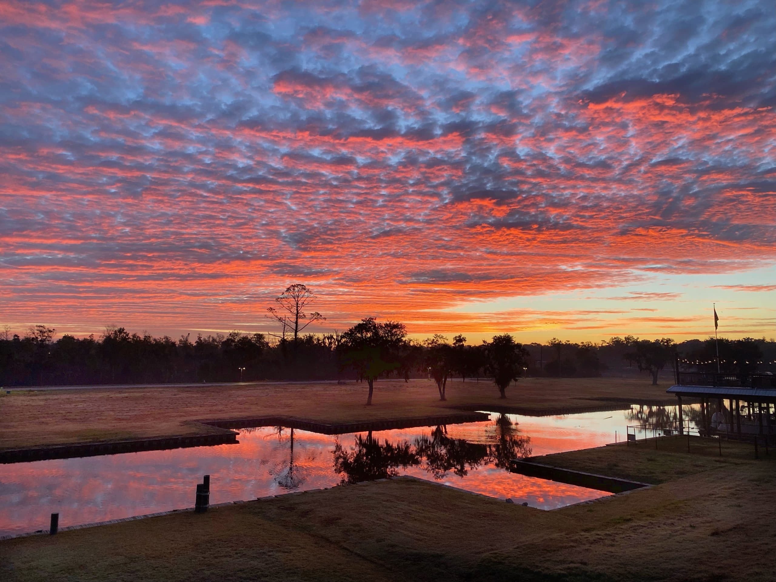 Evening at the bayou
