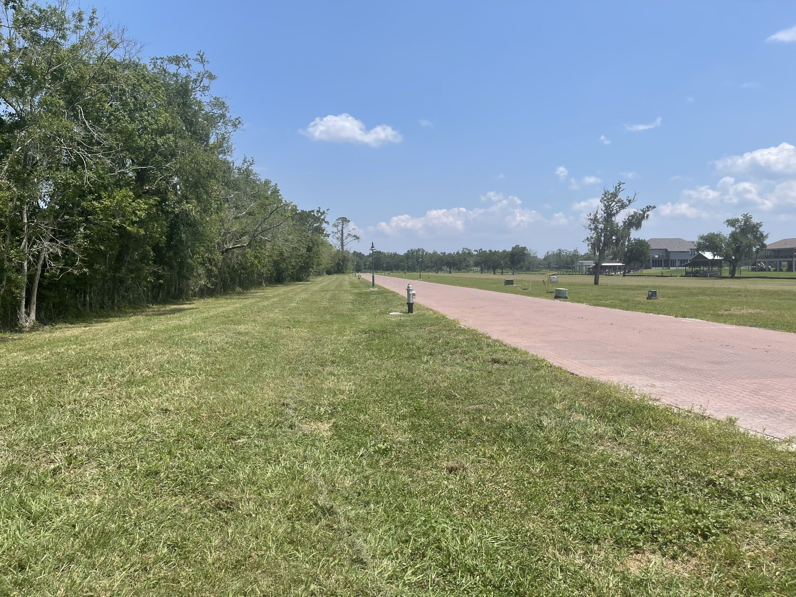 Bayou view